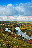View over vineyards along Main river to Volkach-Escherndorf, Franconia, Bavaria, Germany