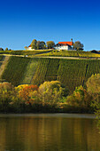 View over Main river to vineyards and Vogelsburg abbey, Volkach, Franconia, Bavaria, Germany