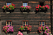 Bauernhaus mit Blumenkästen, Vinschgau, Trentino-Südtirol, Italien