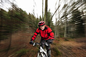 Mountainbiker fährt durch Wald, Bayerische Voralpen, Bayern, Deutschland