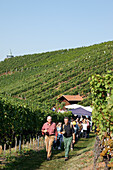 Weinwanderung, Oberkirch, Baden-Württemberg, Deutschland