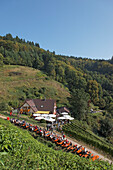 Restaurant in a vineyard, Oberkirch, Baden-Wurttemberg, Germany