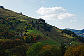 Blick über Obermünstertal im Herbst, Münstertal, Baden-Württemberg, Deutschland