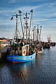 Cutters in port, Carolinensiel-Harlesiel, East Frisia, Lower Saxony, Germany