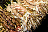 Oktopus und Fleischspiesse, Snacks auf dem Shilin Nachtmarkt, Taipeh, Republik China, Taiwan, Asien
