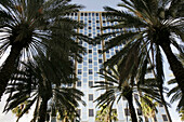Florida,  Miami Beach,  Lincoln Road,  building,  mid-century architecture,  palm trees,  design