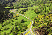 A winding road in the California foothills