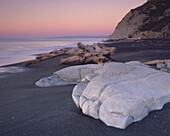 Mudstone boulder and driftwood at the remote Waihua Beach Northern Hawke´s Bay New Zealand