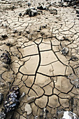 dry cracked ground
