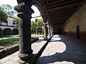 Convento de San Juan Evangelista. Barrio de Culhuacán. Ciudad de México.
