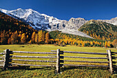 Mount Ortler (3905 m),  Solda (Sulden),  Stelvio National Park. Trentino-Alto Adige,  Italy