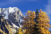 Mont Blanc at sunrise,  Courmayeur,  Aosta Valley,  Italy