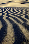 Mesquite Flats Sand Dunes,  sand dunes,  desert area,  Death Valley National Park,  California,  USA
