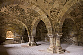 Monastery of Santa Maria de Moreruela,  ruins of Cistercian abbey near Granja de Moreruela. Zamora province,  Castilla-Leon,  Spain