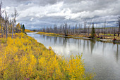 Autumn along the North Fork of the Flathead River,  Glacier national Park Montana USA