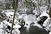 Fresh winter snow at Whatcom Falls,  Bellingham Washington USA