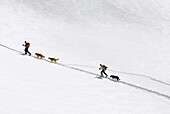 Backcountry skiers with dogs approaching Herman Saddle,  Mount Baker backcountry,  North Cascades Washington USA