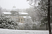Spain  Madrid  Snow  Retiro park  Crystal palace
