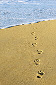 Footprints on the sand  Maui,  Hawaii