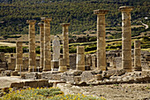 Ruins of basilica,  archaeological site of old roman city of Baelo Claudia,  Bolonia,  Tarifa. Costa de la Luz,  Cadiz province,  Andalusia,  Spain