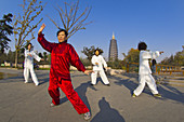 Tai chi,  Red Plum Park,  Tianning Pagoda in background,  Changzhou,  China