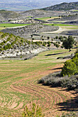 Campo en Villarrubia de Santiago. Castilla la Mancha. España