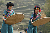 Hani Akha women sifting rice at a festival in Yuanyang China