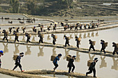 Hani Akha women with their rice baskets in Yuanyang China