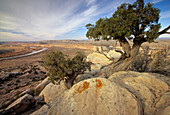 Colorado river through the Colorado Platou