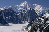 Alaska Range,  Denali National Reserve,  Montane landscape