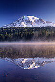 Mt Rainier reflection