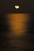 Moonrise over the Bay of Bengal,  Orissa,  India