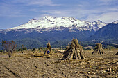 Color, Colour, Crop, Day, High mountain, Horizontal, Iztlaccihuatl, Landscape, Mexico, Mountains, Panoramic, Peasant, Rural, Rustic, Snow, Snowy, Sun, Sunny, Volcano, V03-839626, agefotostock 