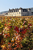 Clos de Vougeot vineyard and Castle in autumn,  Cotes d´Or,  France