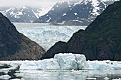 Sawyer Gletscher / Sawyer Glacier / Tracy Arm Fjord / Alaska,  USA