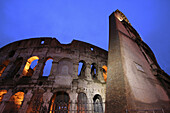Coliseum,  Rome,  Italy