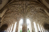 Star-shaped vault in the cloister of the old monastery and hospital of San Marcos,  Leon. Castilla-Leon,  Spain