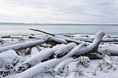 Winter takes an icy hold over a British Columbian beach