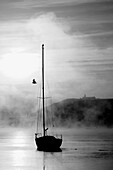 a sailing boat in kinsale harbour at sunrise with sea mist and james fort in the backround