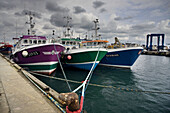 Fishing port,  Guilvinec. Finistere,  Brittany,  France