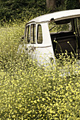 Abandoned car,  North Portugal