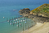 Brittany France The ancient small harbour of Gwin Zegal,  boats are tied up to tree trunks driven into the sand