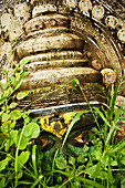 A theyyam mask in the weeds at the temple  Varkala,  Kerala,  India