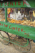 Samosa cart on the street in Pokhara,  Nepal