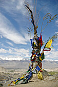 Prayer flags above Leh Ladakh,  India