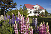 Finland,  Aland Island Typical wood house and flowers