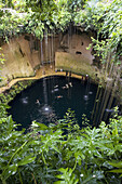 Mexico Yucatan Chichenitza People swimming at Ikil Cenote