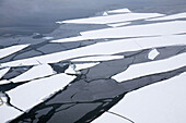 Norway,  Kirkeness,  near to the Russian border Fiord Frozen water