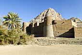 historic adobe fortification Yanqul Fort or Castle,  Hajar al Gharbi Mountains,  Al Dhahirah region,  Sultanate of Oman,  Arabia,  Middle East