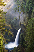 Metlako Falls on Eagle Creek in the Columbia River Gorge National Scenic Area,  Oregon